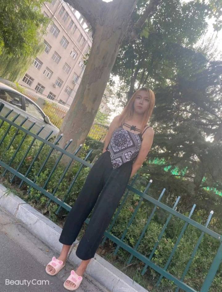 很年轻的小野猫